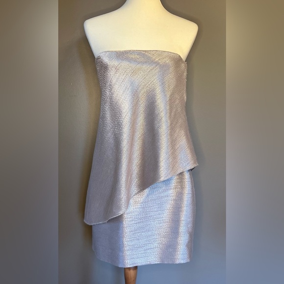 HALSTON HERITAGE Strapless Tiered Embelished Mini Tube Silver Dress Size 4 - Picture 7 of 10